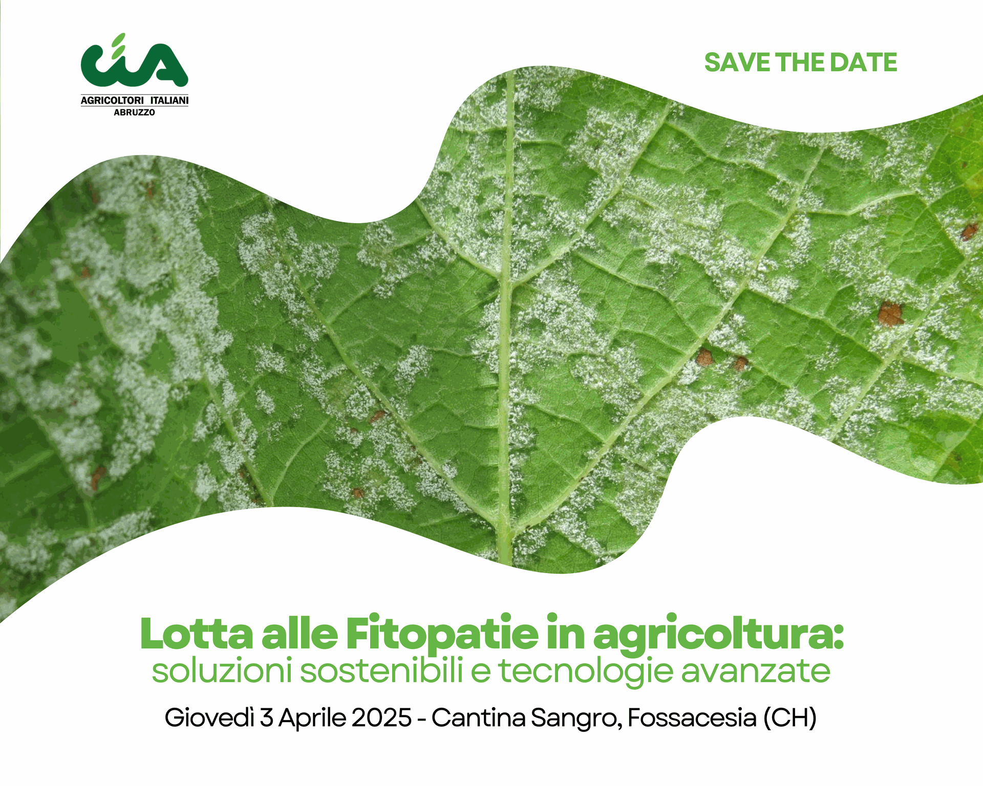 Lotta alle Fitopatie in agricoltura: soluzioni sostenibili e tecnologie avanzate
